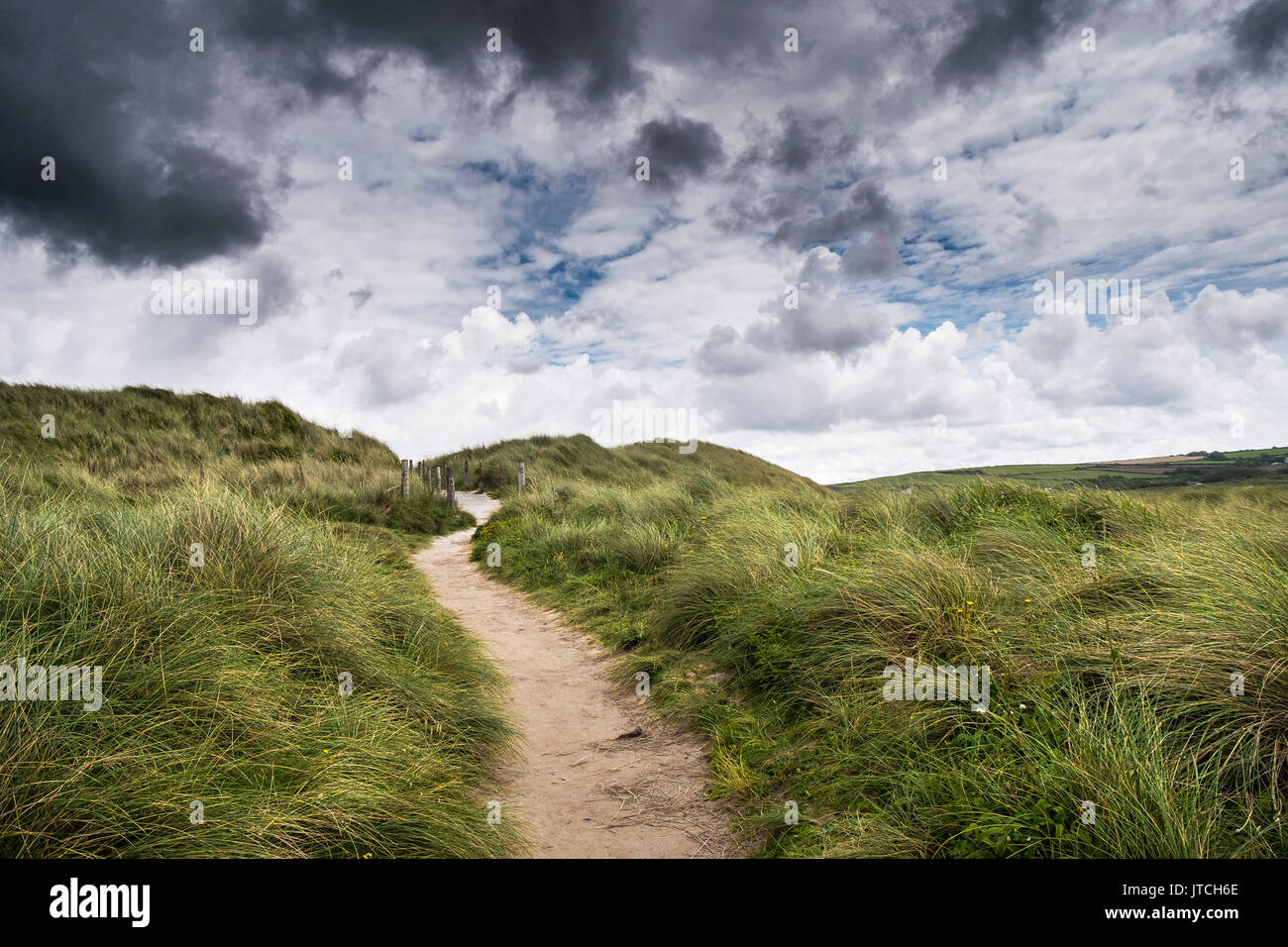 A path running through dunes covered in Marram Grass at Gwithian Towans in Cornwall. Stock Photo