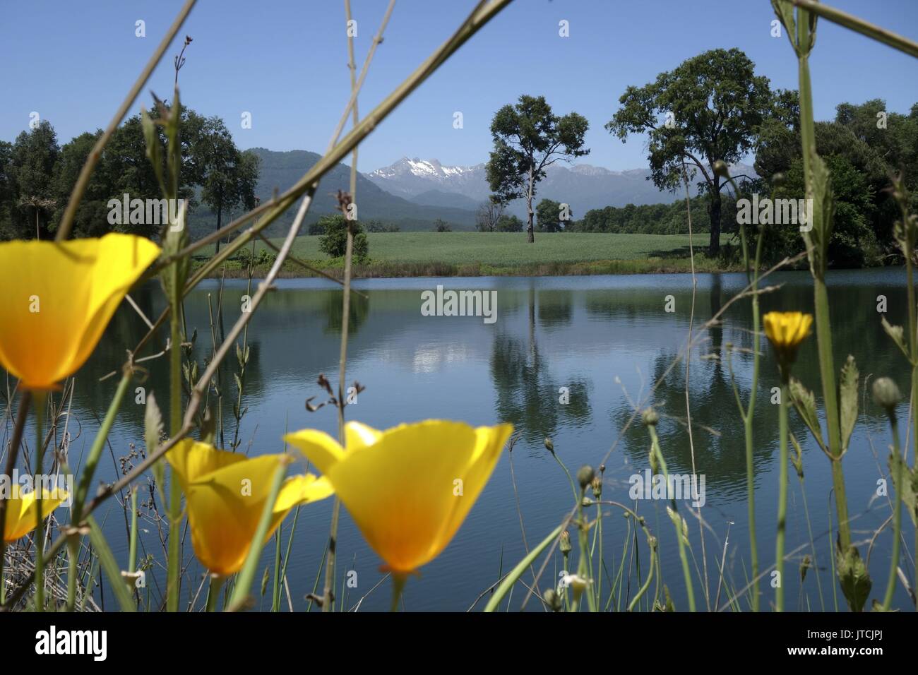 Ah 13 High Resolution Stock Photography And Images Alamy