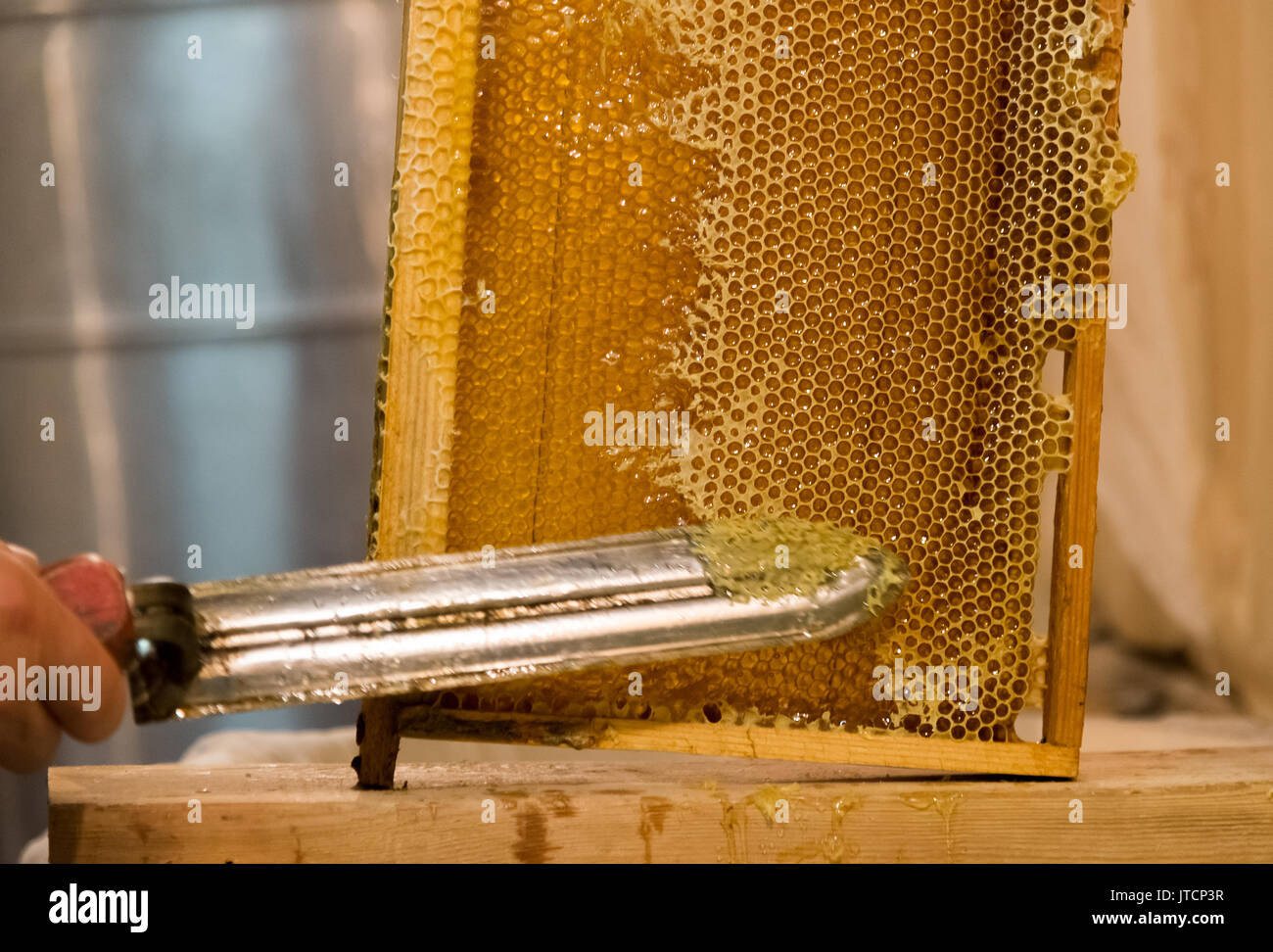 Beekeeper hot knife cuts the wax Stock Photo Alamy