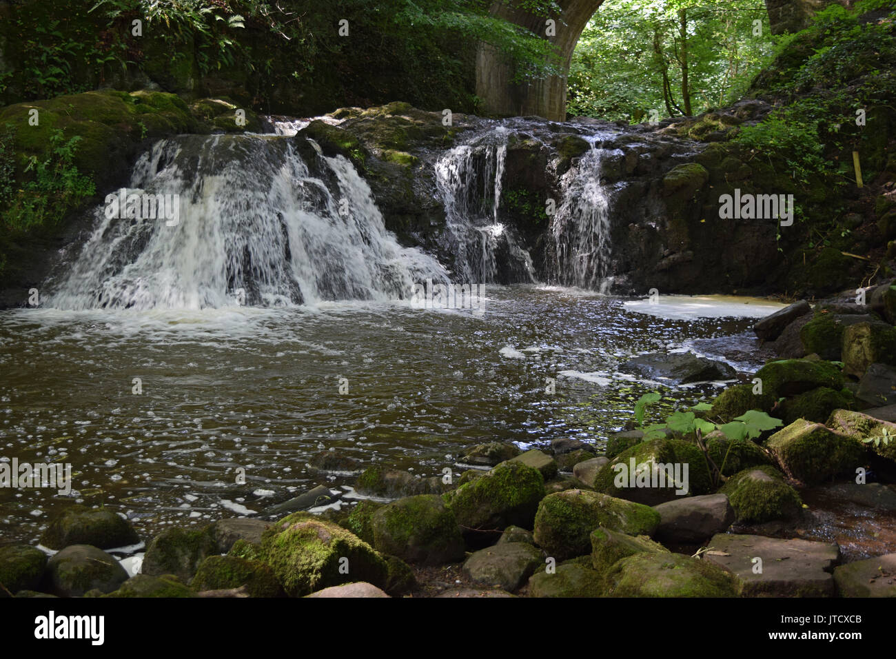 The Falls at Arbirlot, by Arbroath, Angus , Scotland Stock Photo Alamy