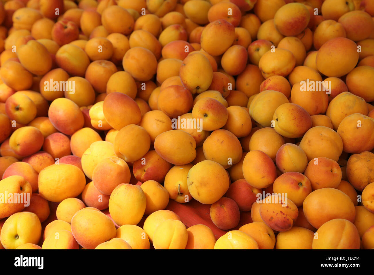 Vouliagmeni Greece Fruit Market apricots Stock Photo - Alamy