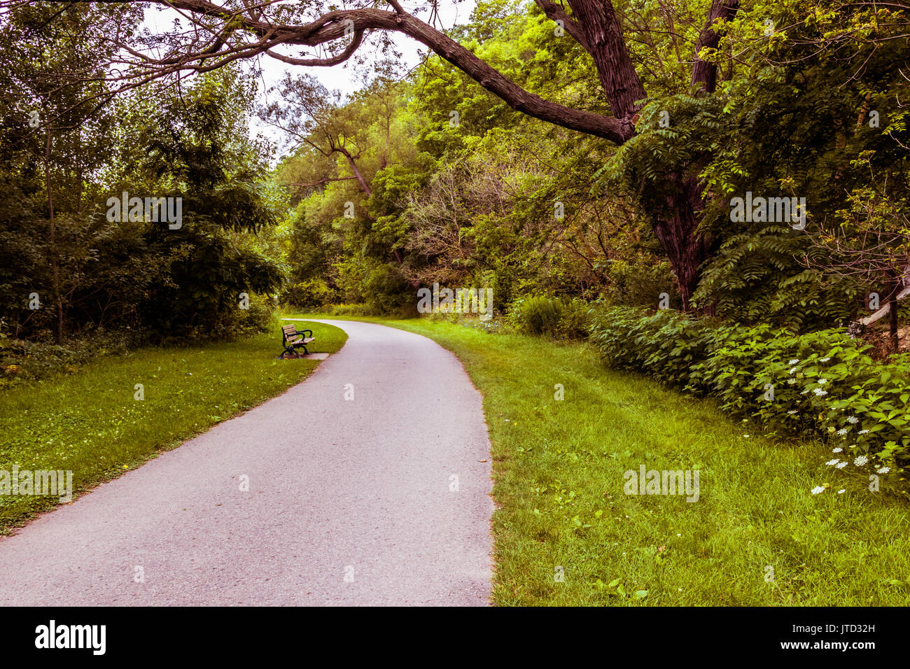 Park Vista Jog Trail, Toronto, Ontario, Canada Stock Photo Alamy