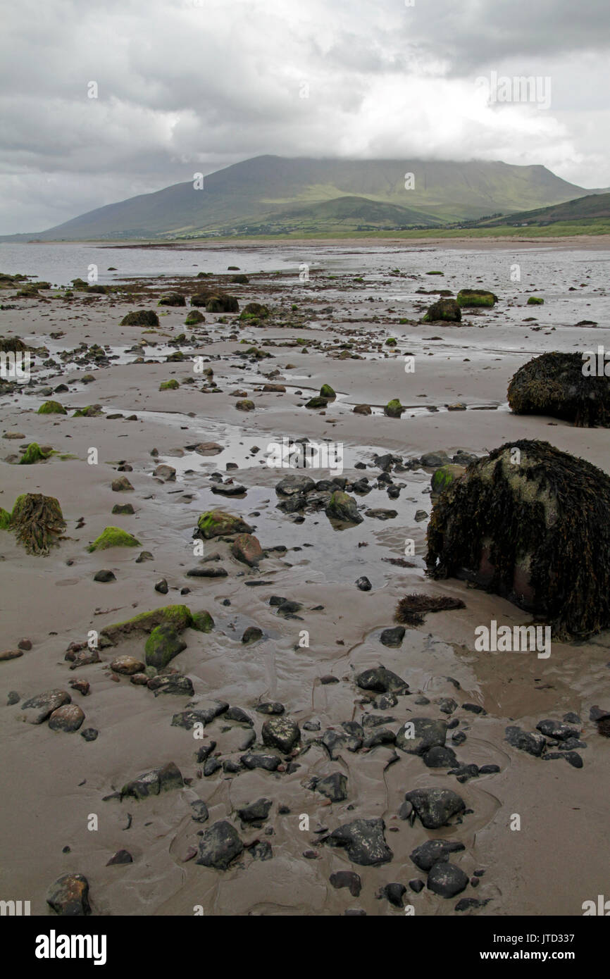 Retreating tide reveals muddy pebbels and rocks on a beach in Ireland Stock Photo