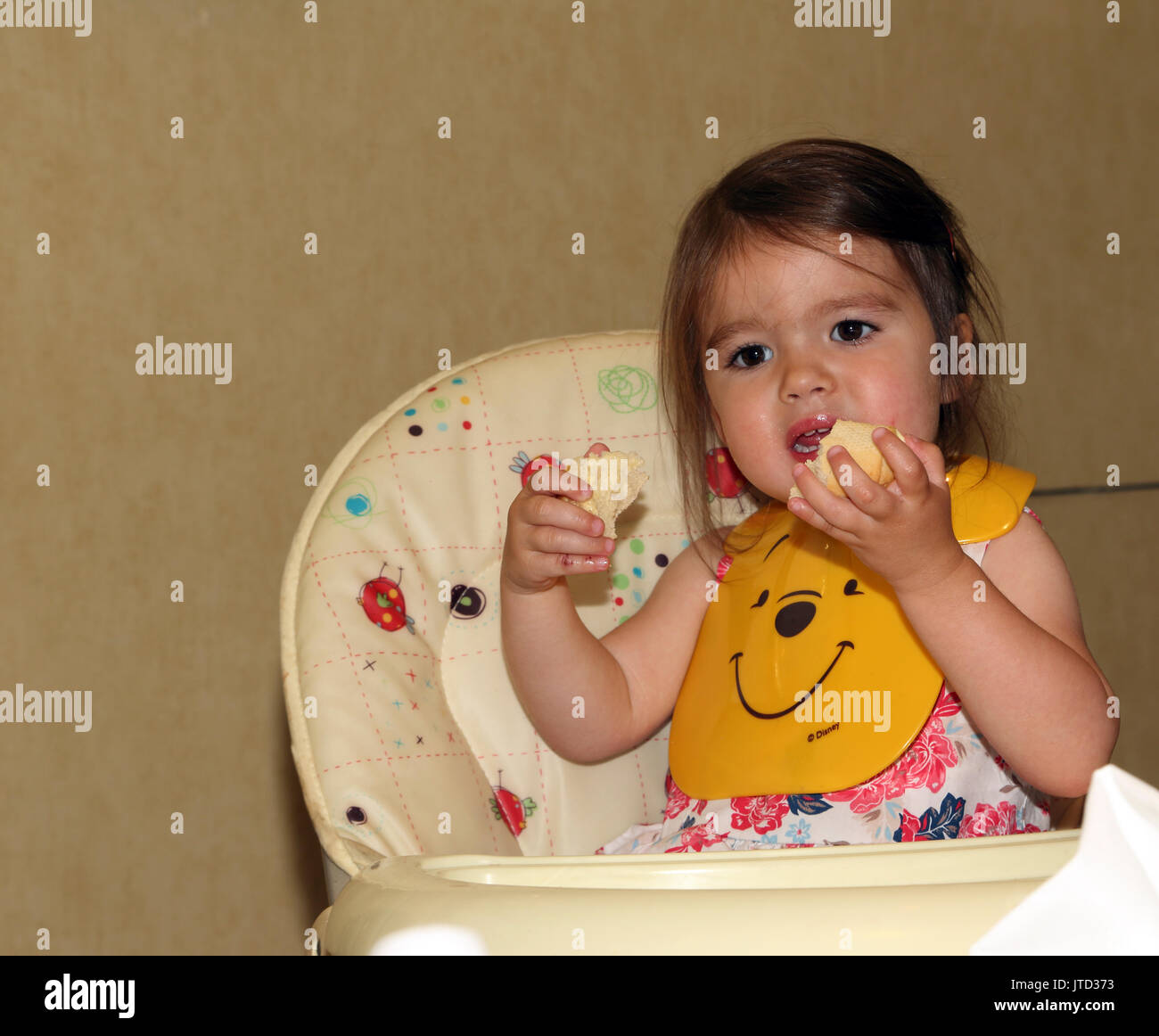 winnie the pooh bibs