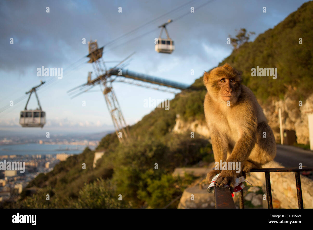 Car sunset urban hires stock photography and images Alamy