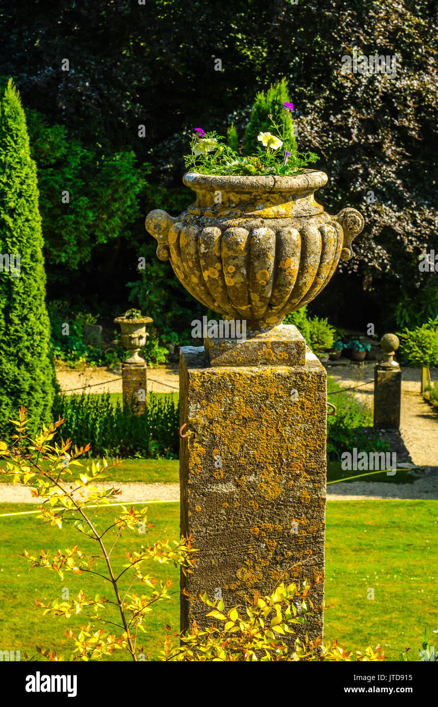 Concrete flower pots in the garden on a pedestal stylized antique, a