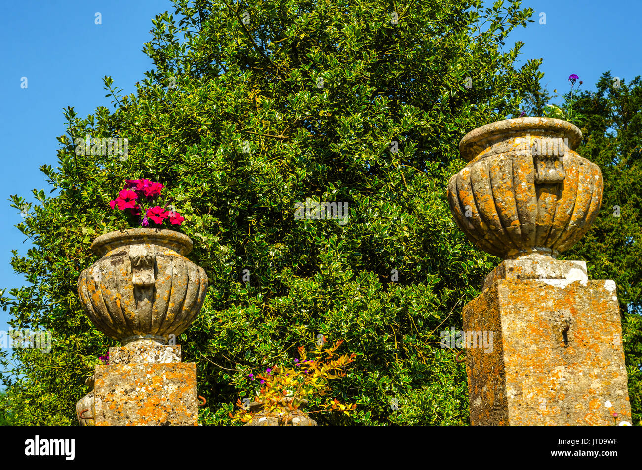 Concrete flower pots in the garden on a pedestal stylized antique, a