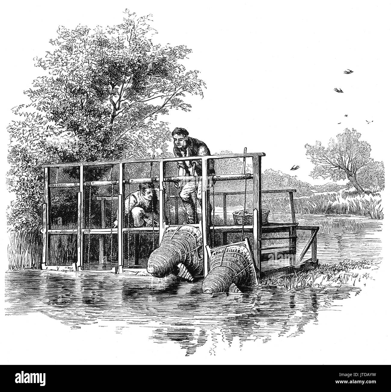 Jellied eels hires stock photography and images Alamy