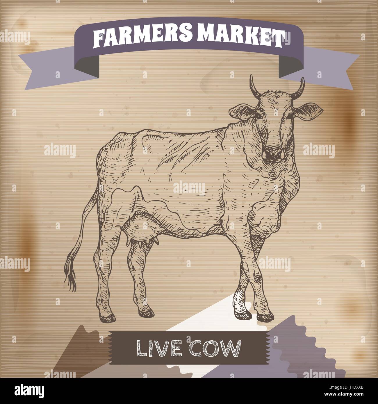 Vintage farmers market label with live cow. Stock Vector