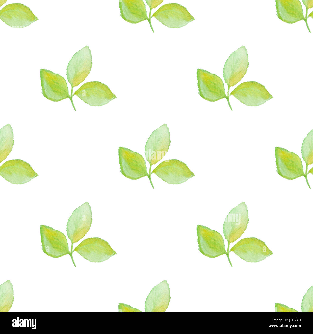 Floral watercolor seamless pattern with green falling leaves on a white ...