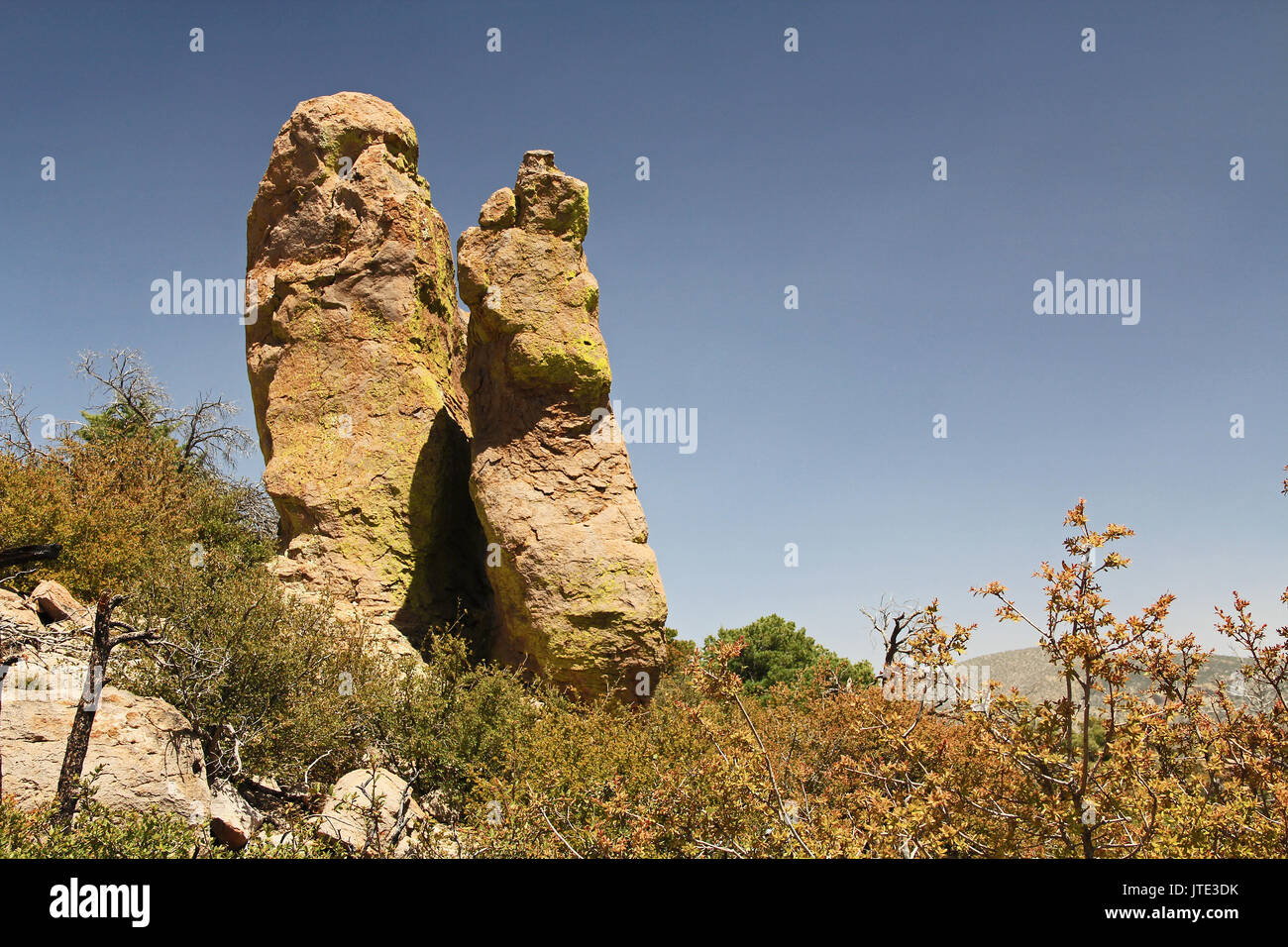 Massai Point rock hoodoos formation in Echo Canyon, Chiricahua National Monument near Wilcox, in southern Arizona, USA. Stock Photo