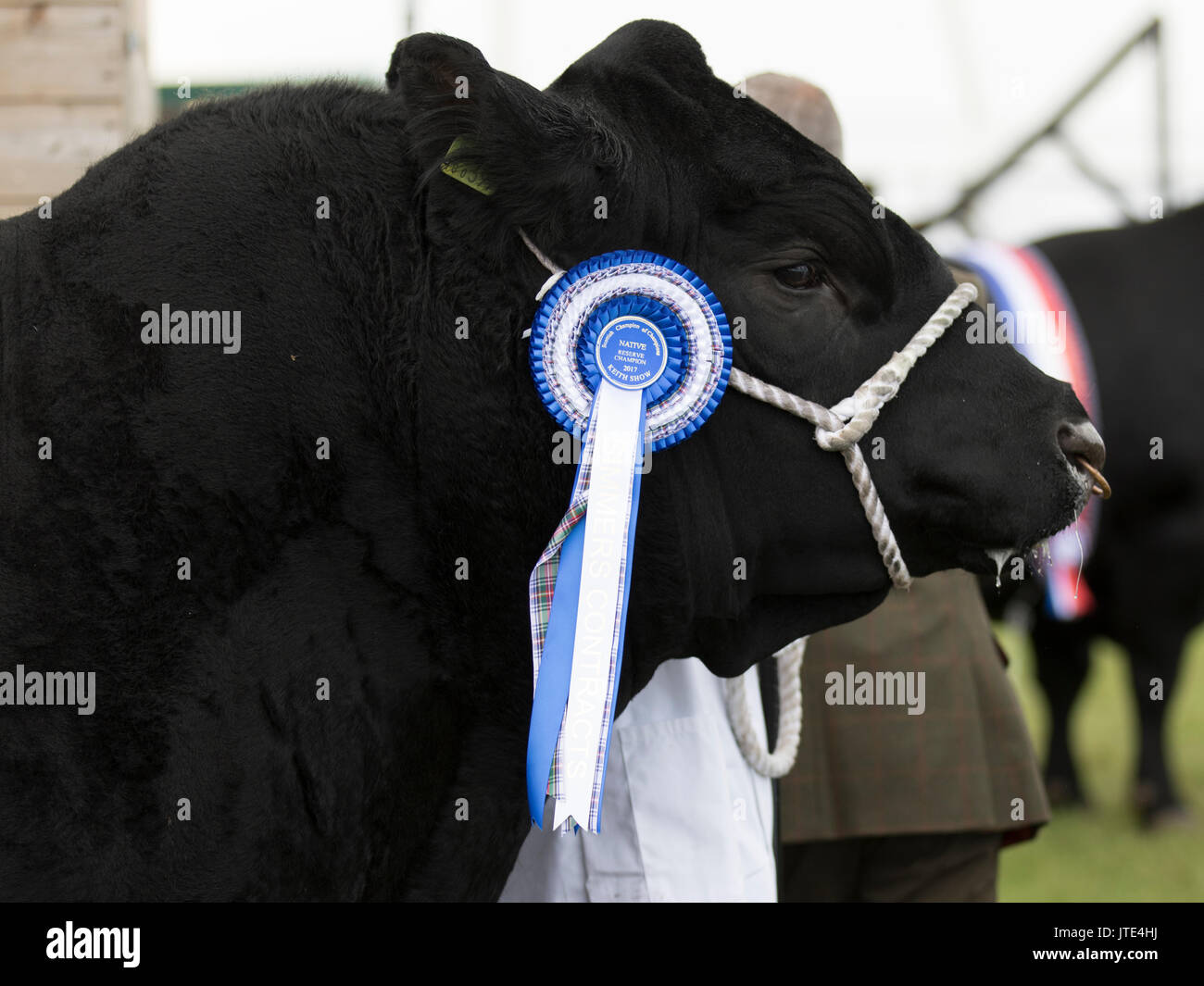 What Is A Reserve Champion