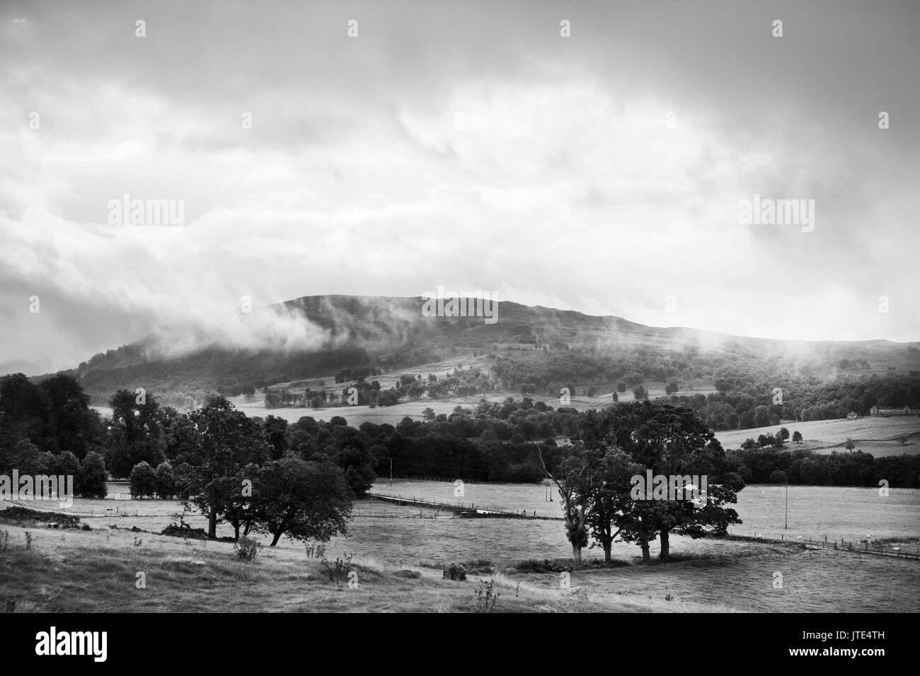 Scotland, Highlands, Scottish Landscape, Trees, Fields, Rural Countryside, Wild Terrain, Bushes and Shrubbery, Dramatic Skyline, Farmers Field Stock Photo