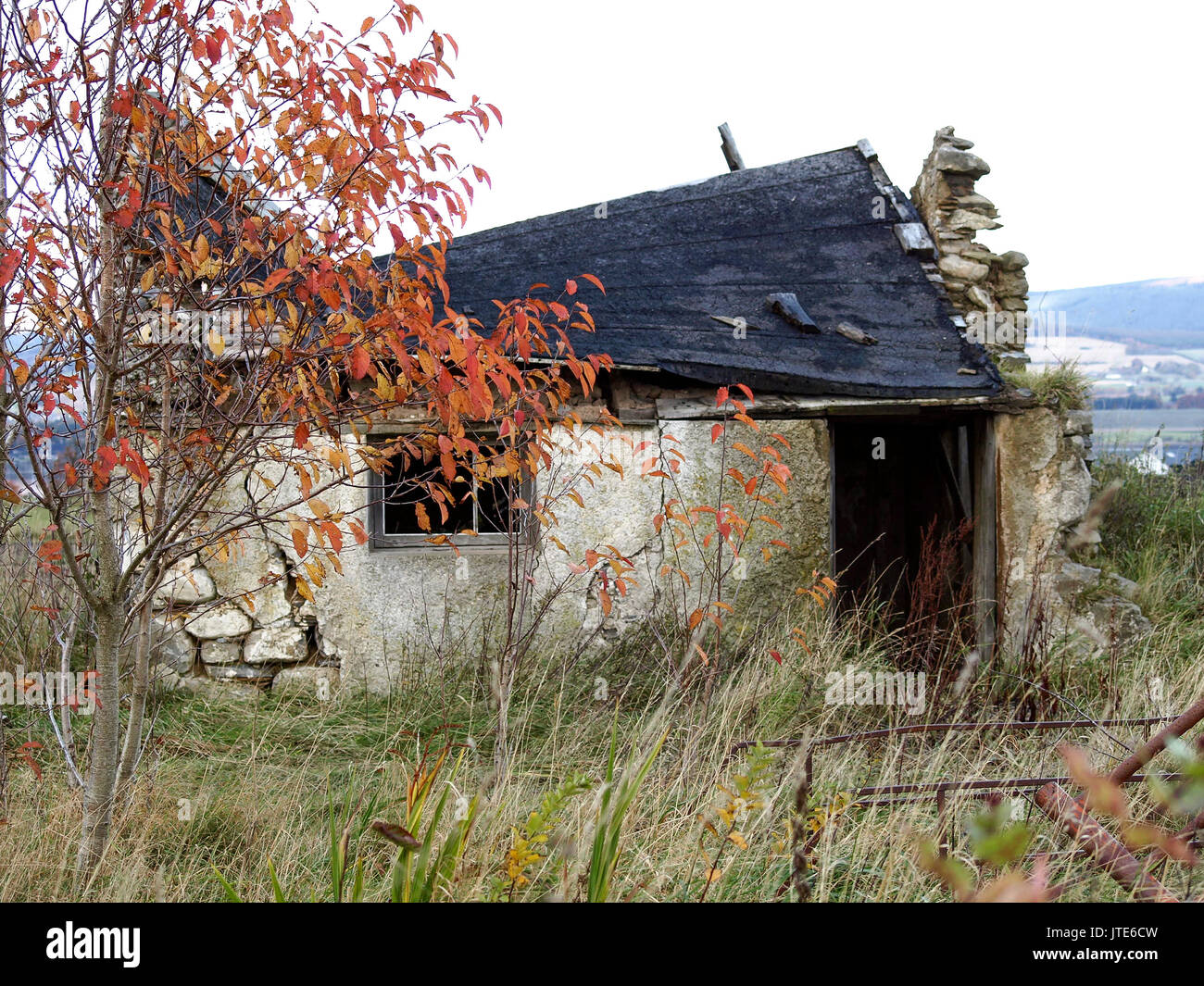 Scotland, Highlands, Scottish Architectural Ruins, House Collapse, Roof Cave in, Exposed Stone Walls, Autumn Leaves, Shrubbery and Undergrowth Stock Photo