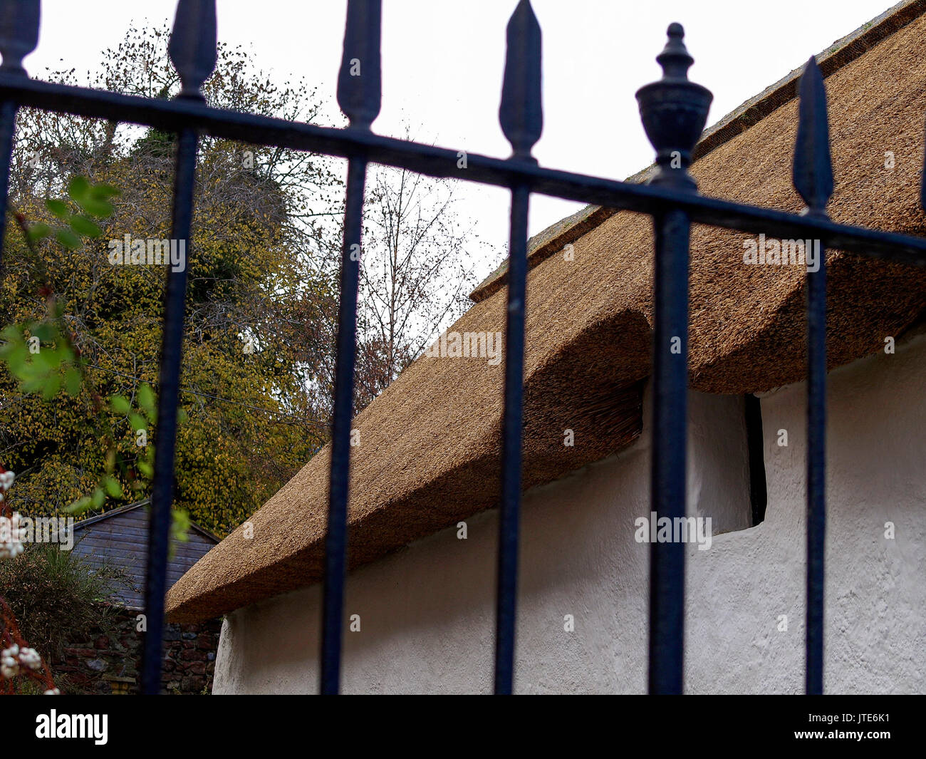 Thatched-Roof, Bars, Cottage, Greenery, Locked Out, Irons, No Entry, Locked Gate, Window Through the Bars, Secure, Trees, Keep Out, Blossom, Shed Stock Photo