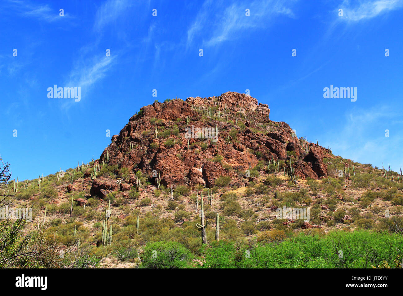 Mountain near the La Selvilla Picnic Area in Colossal Cave Mountain Park in Vail, Arizona, USA near Tucson. Stock Photo