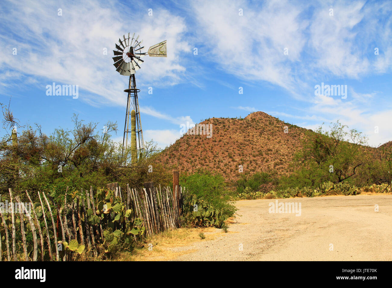 Windmill, mountain and butterfly garden along a fence on the La Posta Quemada Ranch with copy space in Colossal Cave Mountain Park in Vail, Arizona, U Stock Photo