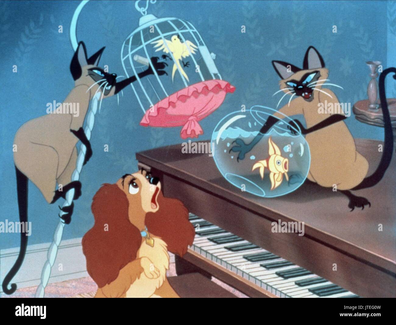 Lady Si Am The Siamese Cats Lady And The Tramp 1955 Stock Photo Alamy