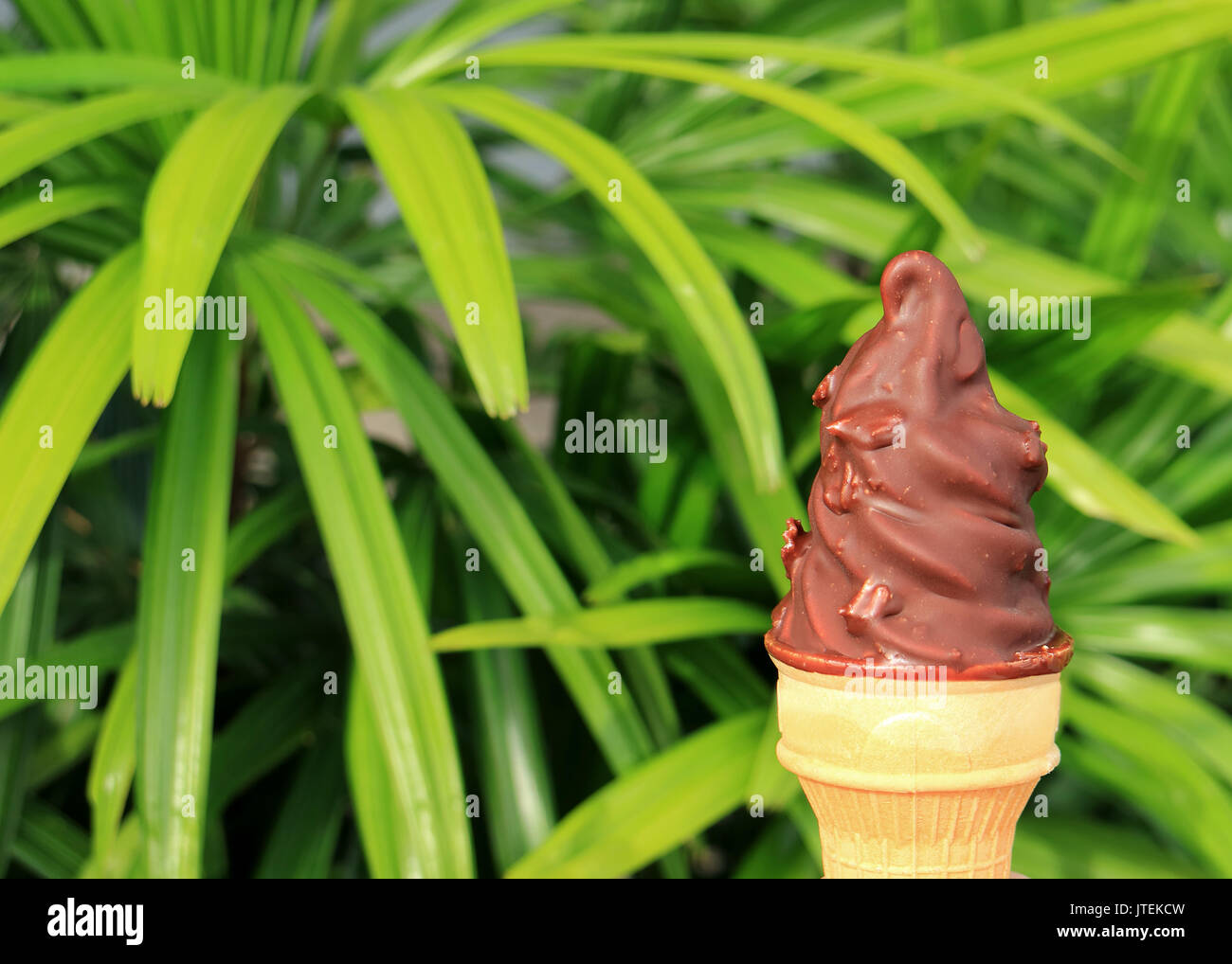 Front View of Chocolate Dipped Soft Serve Ice Cream Cone, Blurred Green