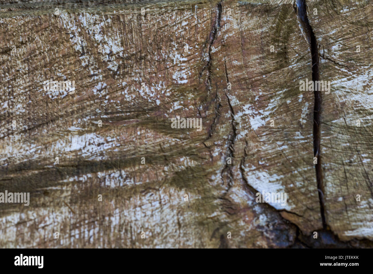 Rustic wood texture with natural patterns surface as background Stock ...