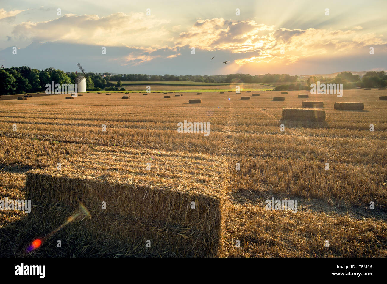 Sunset over a a wheat field in the harvest time with a windmill. Bavaria, Germany. Stock Photo