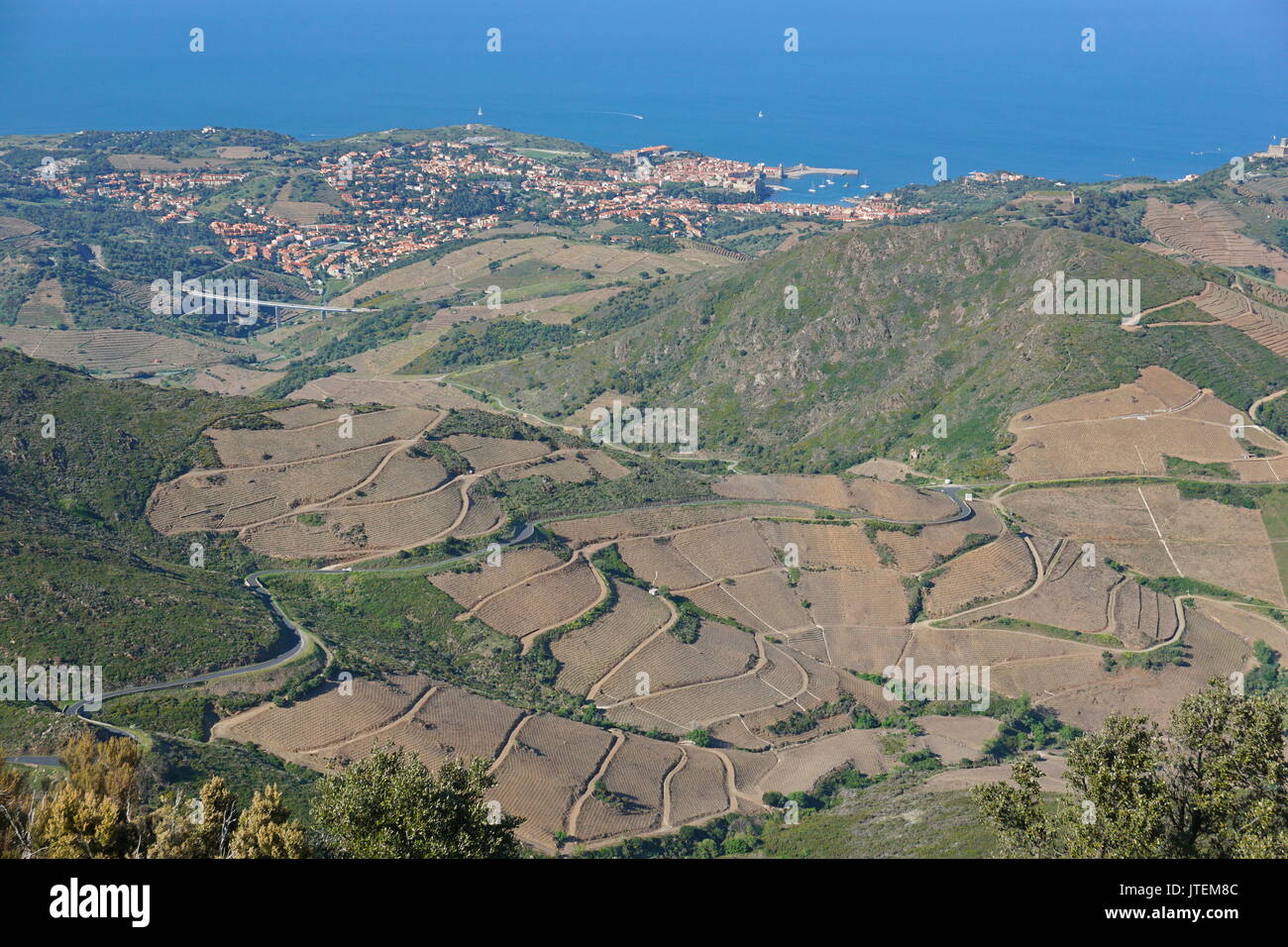 France Pyrenees-Orientales Collioure village and vinyards fields landscape, Mediterranean, seen from the heights, Vermilion coast, Roussillon Stock Photo