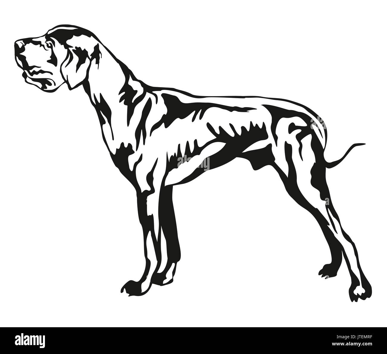Decorative portrait of standing in profile Great Dane, vector isolated illustration in black color on white background Stock Vector