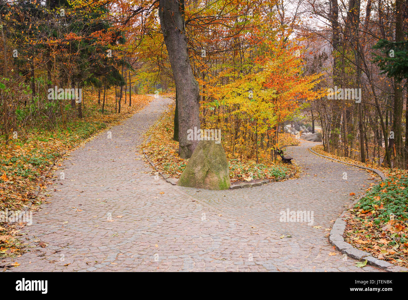 Furcation of the road in autumnal Sofiyivsky Park in Uman, Ukraine Stock Photo