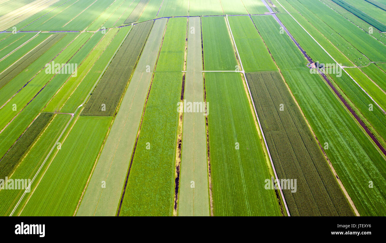 Aerial photo of patchwork fields in Oudewater, Netherlands Stock Photo