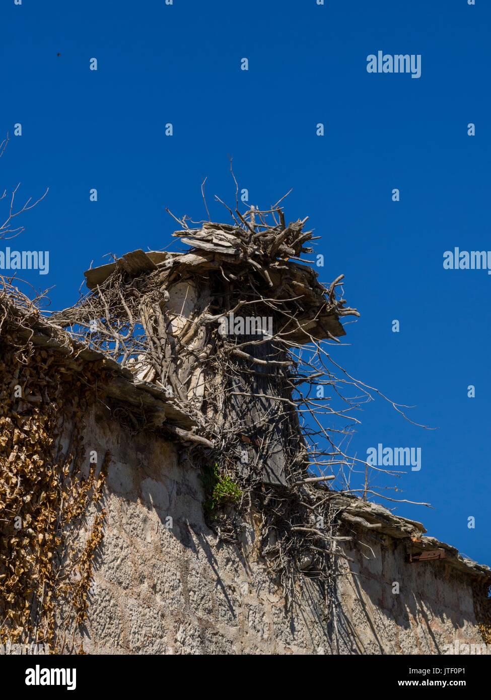 Derelict old chimney Nerezisca on Brac island in Croatia Stock Photo