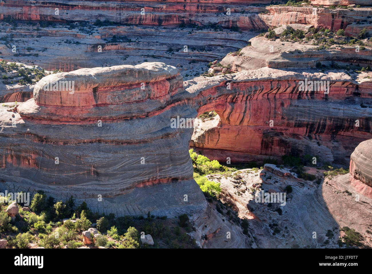 Sipapu bridge, Natural Bridges National Monument, southeast Utah, USA