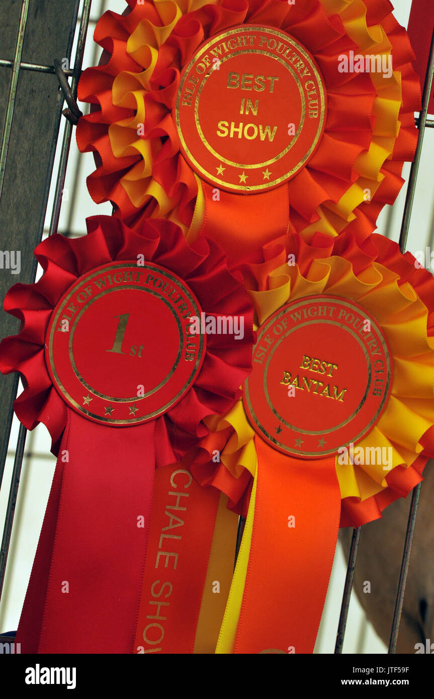winners and runner up red coloured rosettes awarded as prized in an