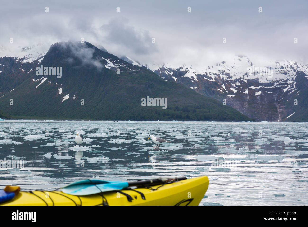 Kenai peninsula adventure hi-res stock photography and images - Alamy