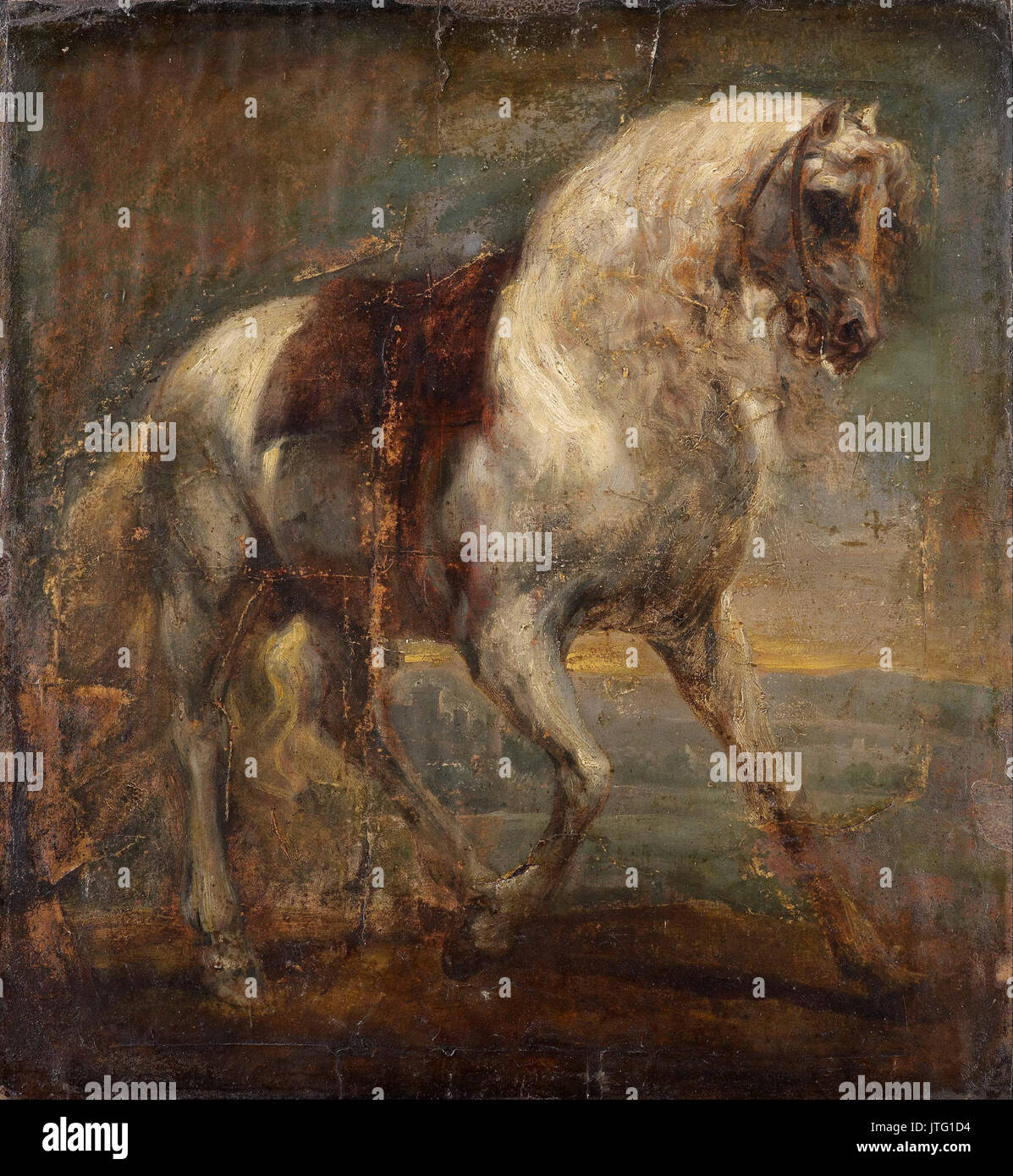 Van Dyck, Sir Anthony A Grey Horse Stock Photo Alamy