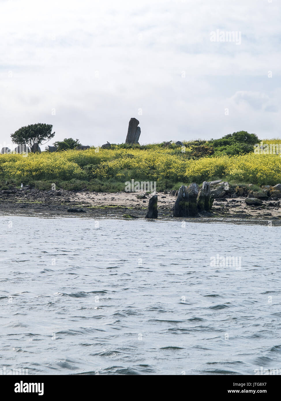 Er Lannic Stone Circles, Arzon, Morbihan, Brittany, France Stock Photo ...