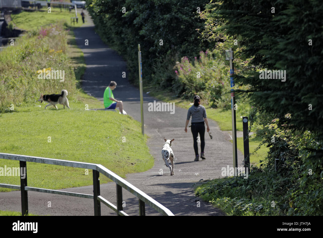 Clydebank, Glasgow, Scotland, UK. 9th August. Dog walkers make the most of the summer weather as it returns and locals enjoy the summer  on the Forth and Clyde canal as Scotland catches the sun and the UK suffers different  weather Credit: gerard ferry/Alamy Live News Stock Photo