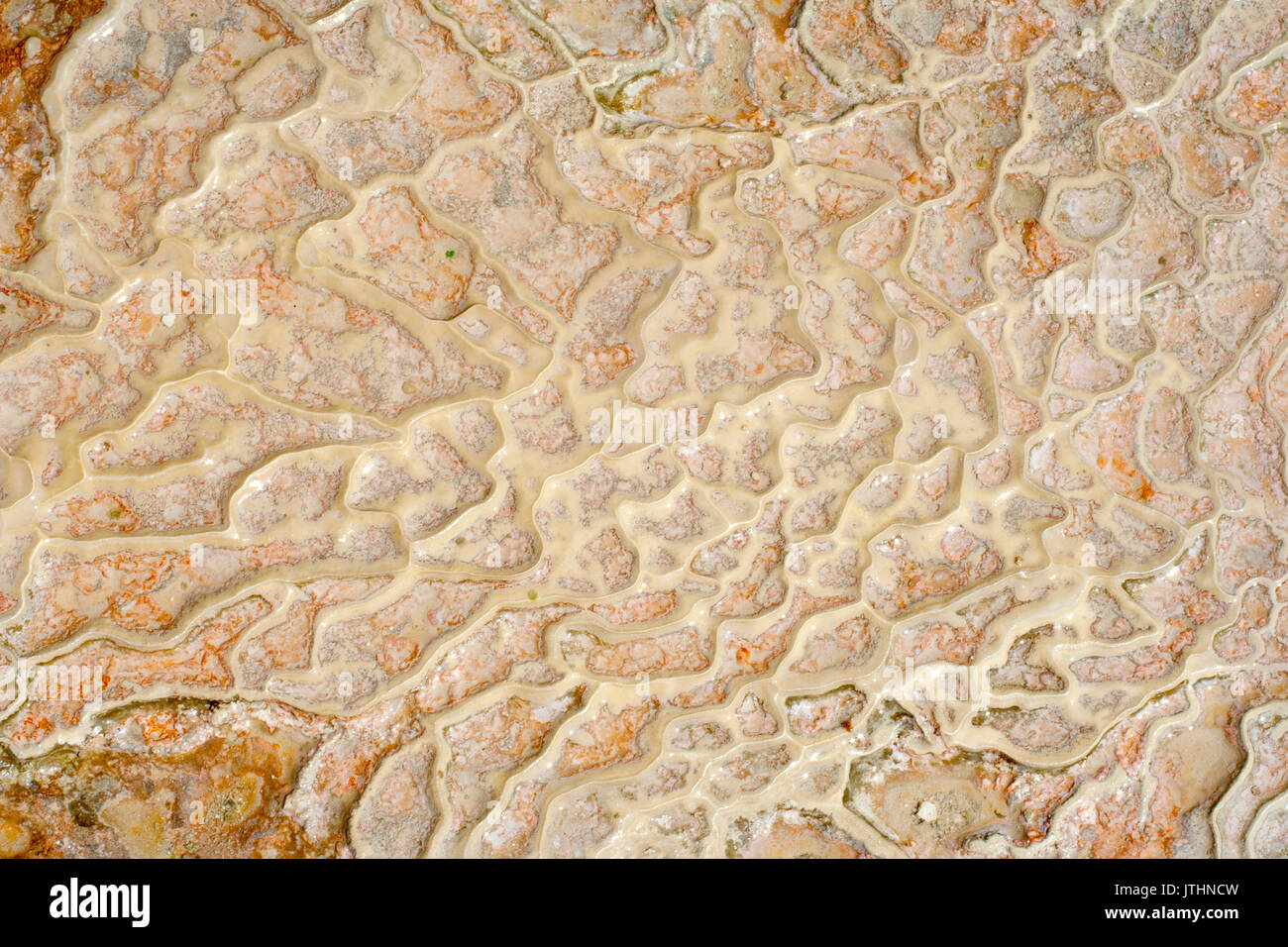 Mineral surface in Pamukkale, Turkey Stock Photo