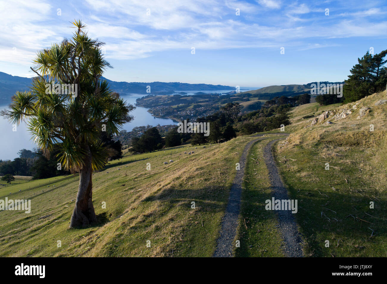 Farmland by Highcliff Rd, Otago Peninsula, Dunedin, South Island, New Zealand - drone aerial Stock Photo