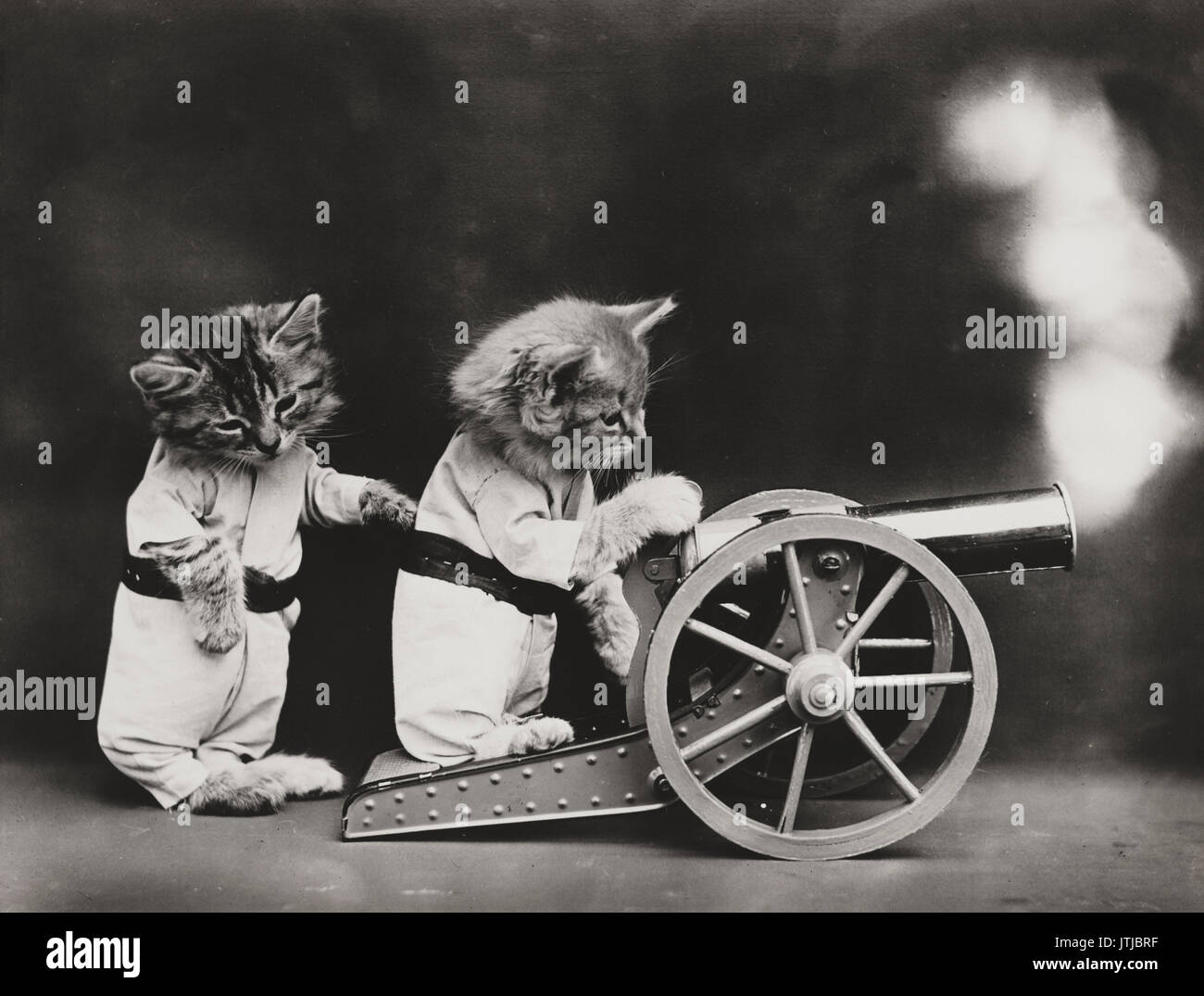 Fire! - Vintage Photo shows two kittens wearing clothes firing a cannon. Stock Photo