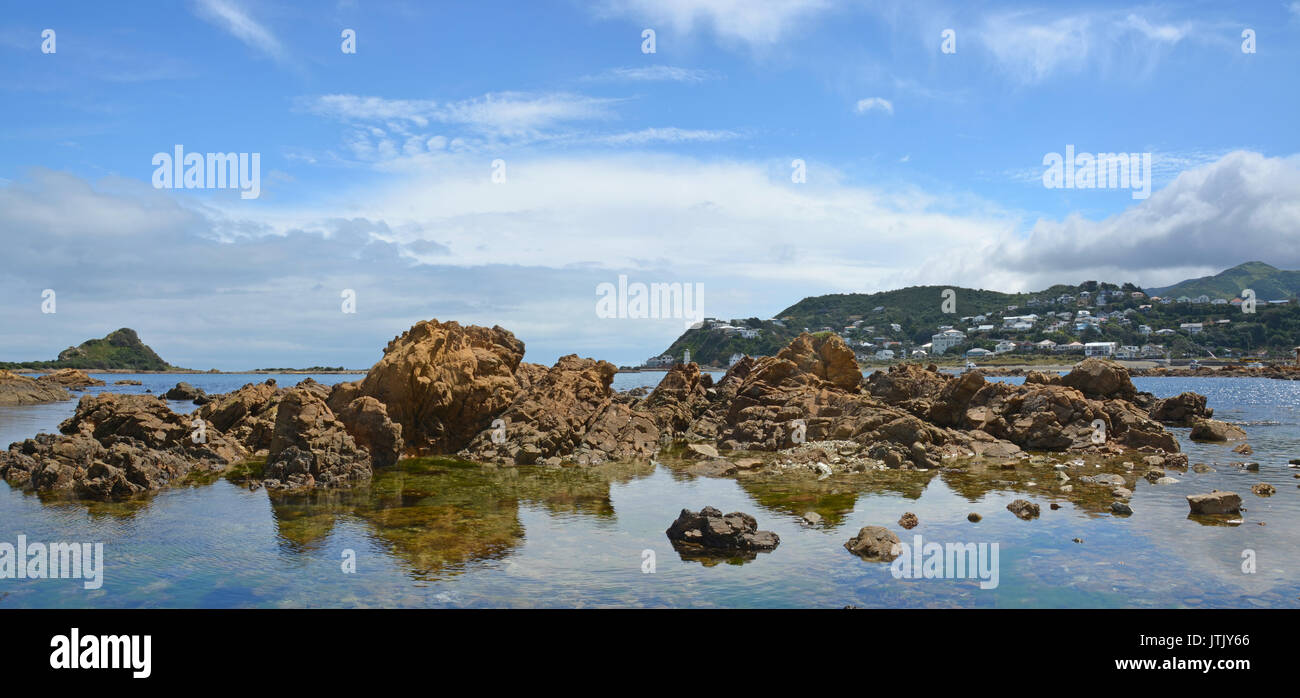 Panoramic view of Island Bay rocks, Wellington  New Zealand Stock Photo