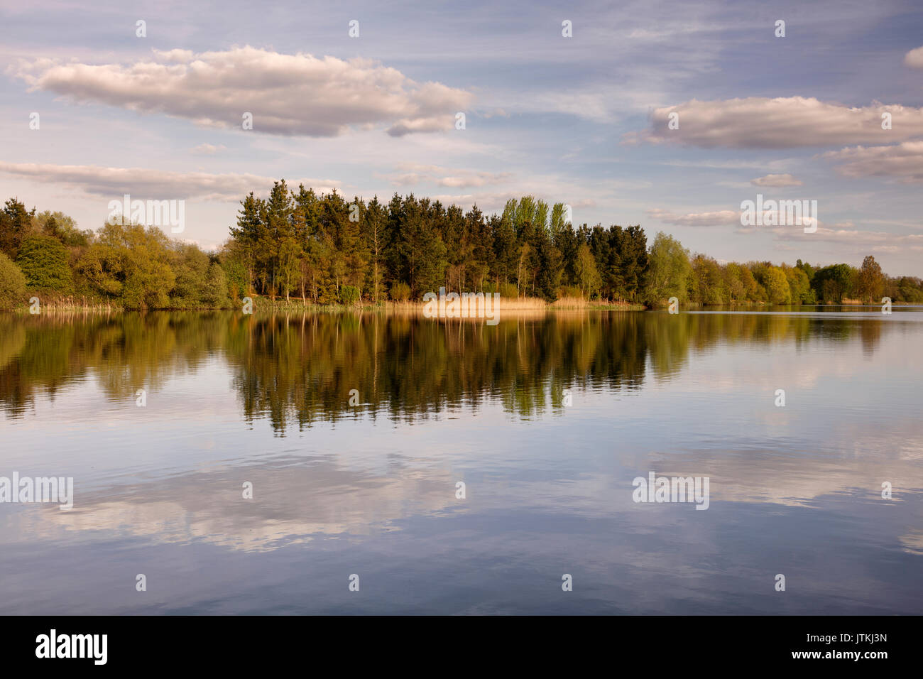Reflection of trees, forest and couds in a still and calm lake Stock Photo