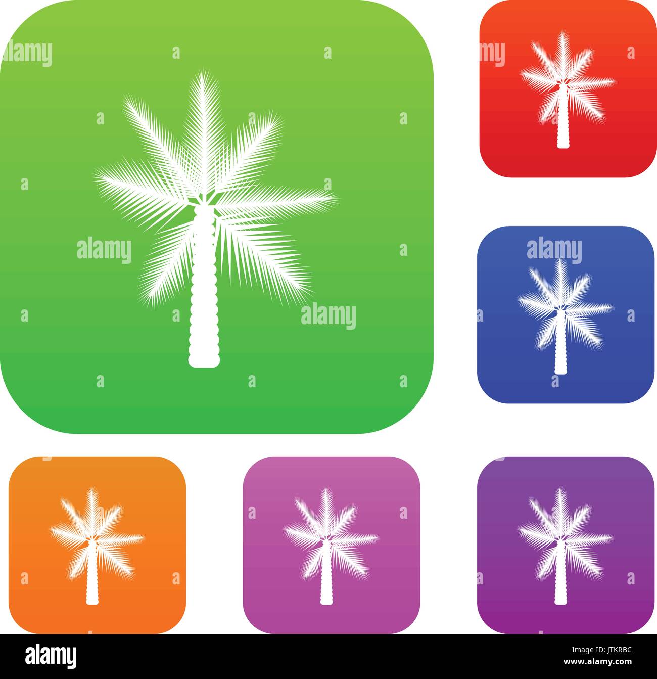 Big palm tree set collection Stock Vector Image & Art - Alamy
