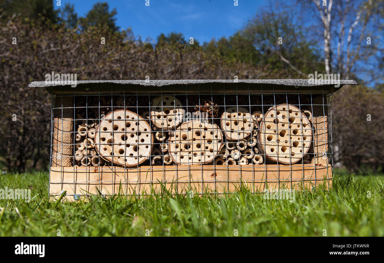 Tree Insect House A wooden insect’s hotel, house on the lawn. Trees in the background ...