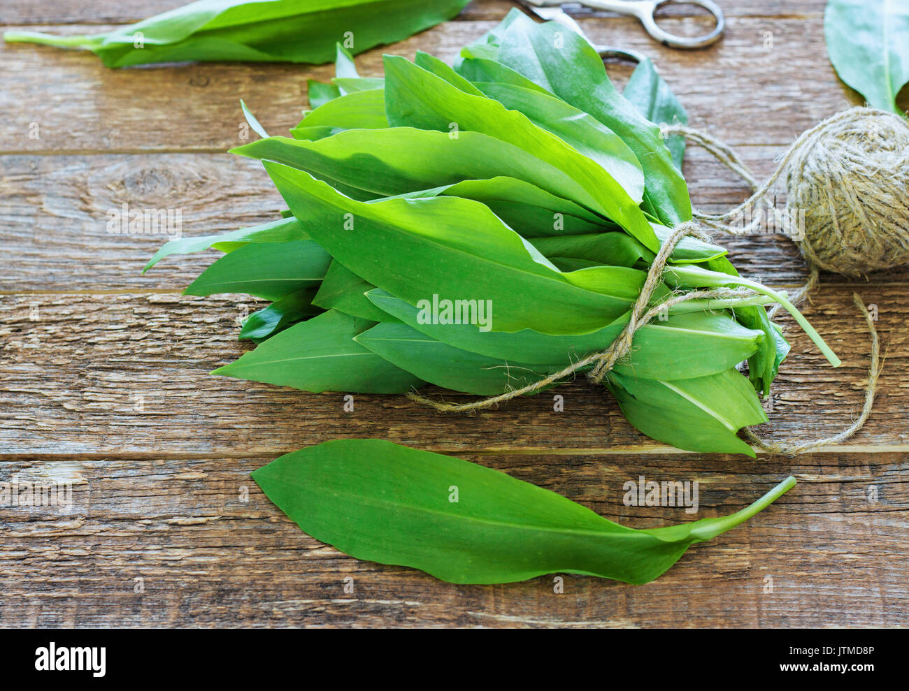 ramson bear garlic bunch tied with rope a wooden background. Stock Photo