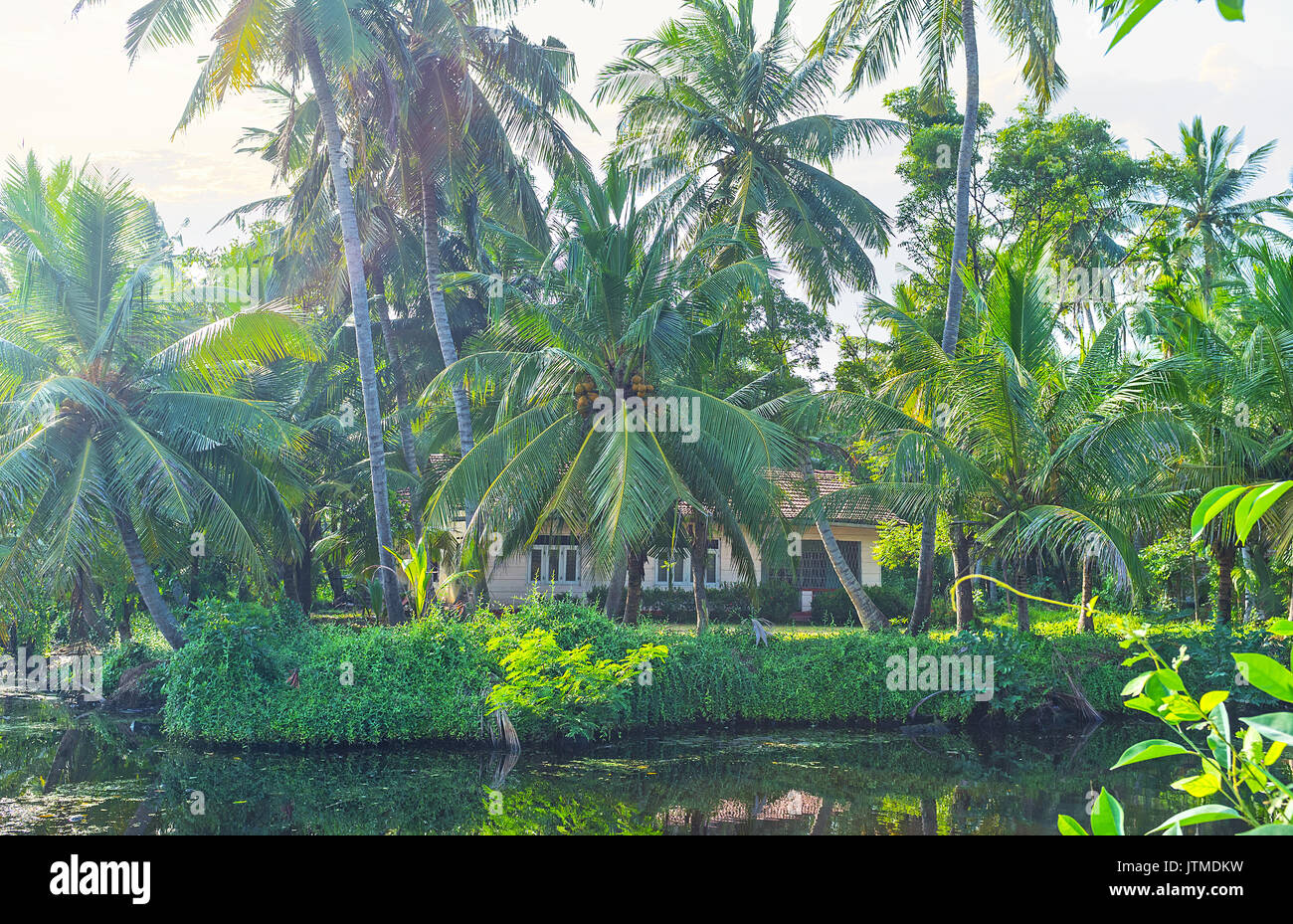 Sri lanka kelani ganga hires stock photography and images Alamy