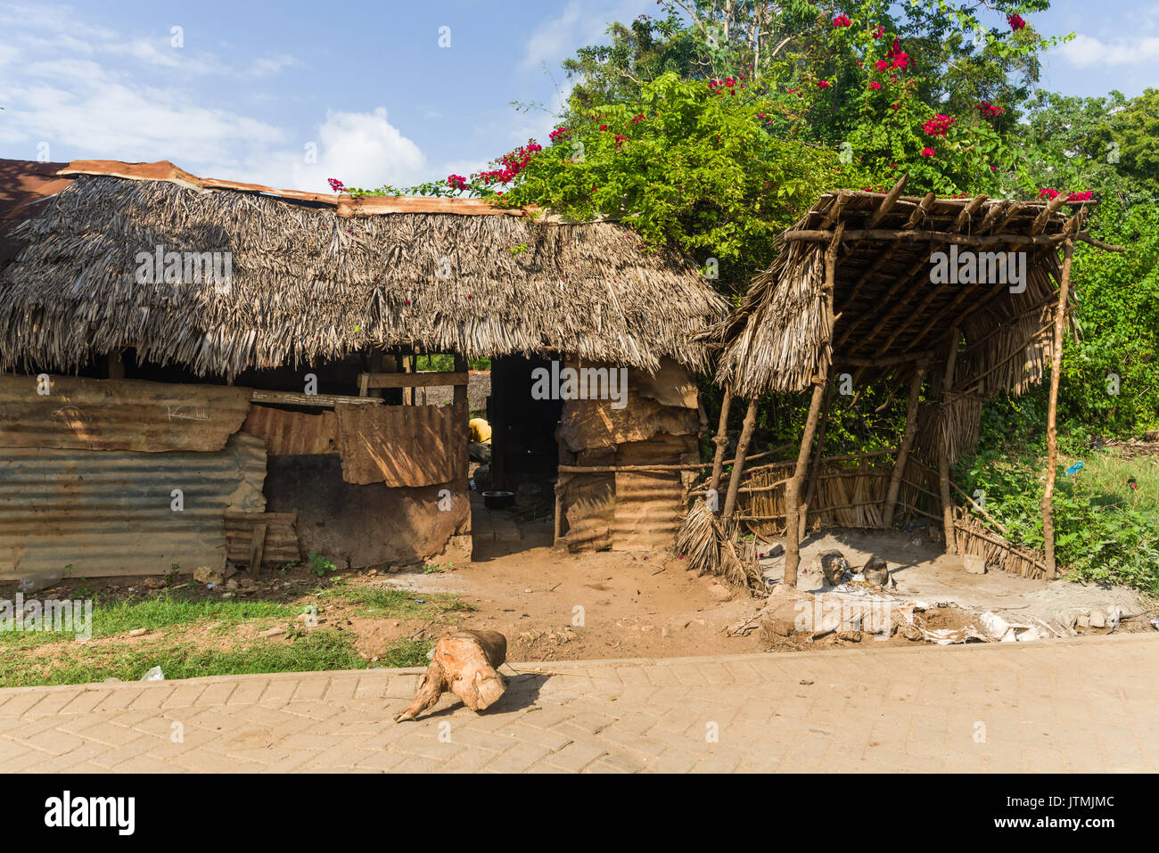 Corrugated iron and wooden shack building with dried palm leaf thatch roof, Kenya Stock Photo