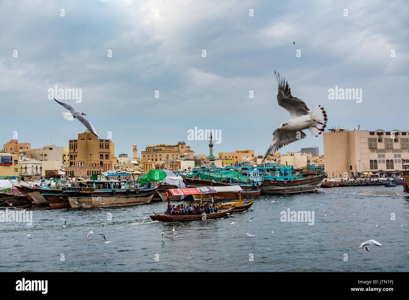 View of Dubai Creek with seagulls and abra boats, Dubai, United Arab Emirates Stock Photo