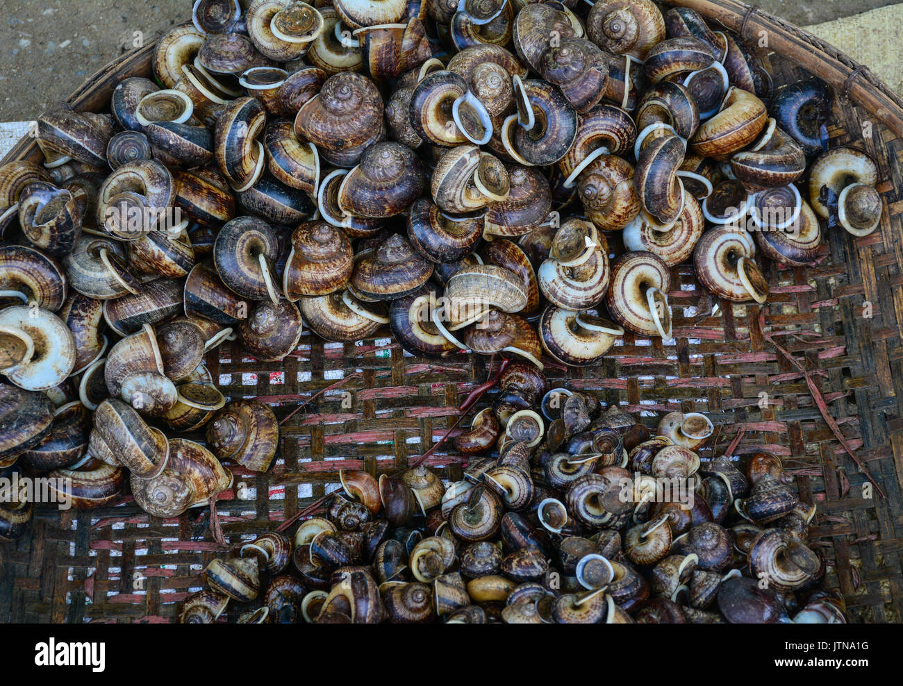 Snails basket hires stock photography and images Alamy