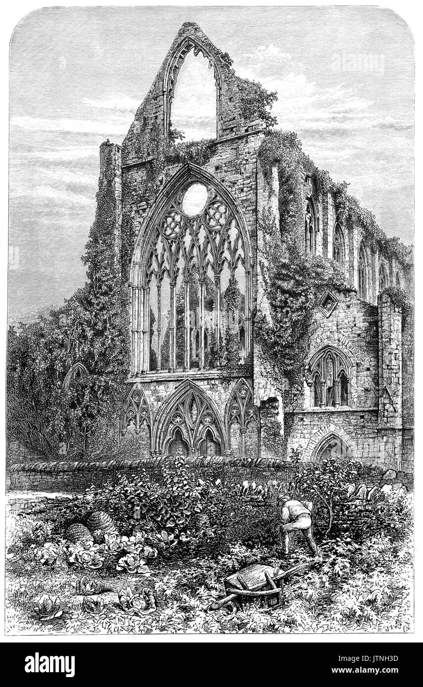 1870: Gardening in a kitchen garden outside Tintern Abbey. It was founded on 9 May 1131, and is situated adjacent to the village of Tintern on the Welsh bank of the River Wye, which forms the border between Monmouthshire in Wales and Gloucestershire in England. It was only the second Cistercian foundation in Britain, and the first in Wales. Falling into ruin after the Dissolution of the Monasteries in the 16th century, the remains were celebrated in poetry and often painted by visitors from the 18th century onwards.Monmouthshire, Wales, United Kingdom. Stock Photo