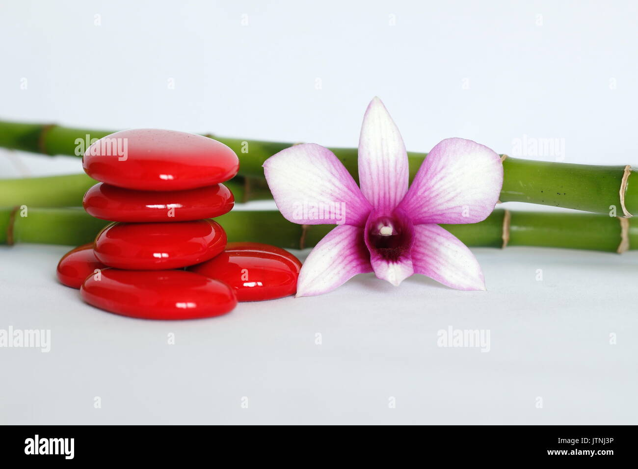 Red pebbles arranged in zen lifestyle with a two-tone orchid on the right side of the bamboo posed behind the whole on a white background Stock Photo